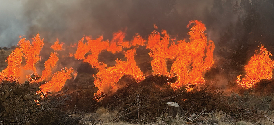 Wildfire in Central Oregon